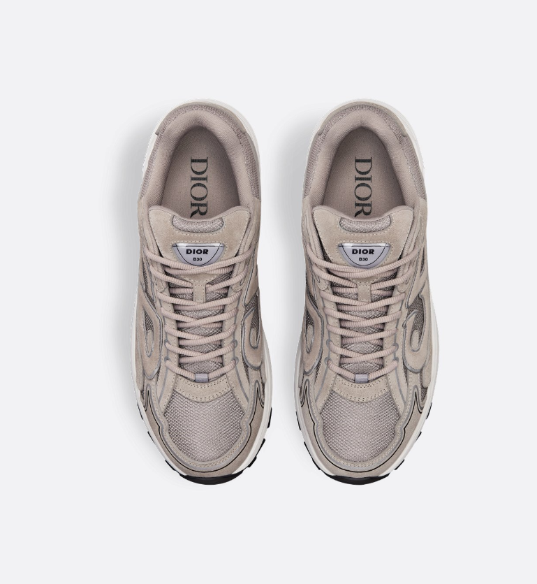 Dior B30 - Grey Suede