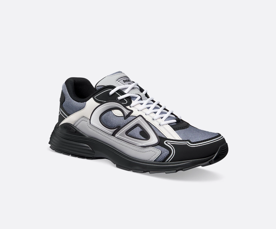 Dior B30 - Gray/ White / Blue