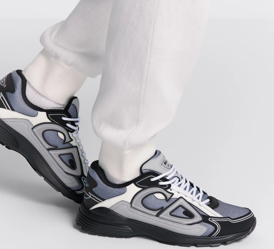 Dior B30 - Gray/ White / Blue
